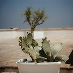 Apartamento Castrignano Monopoli