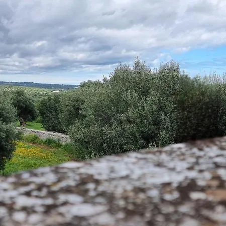 Castrignano
