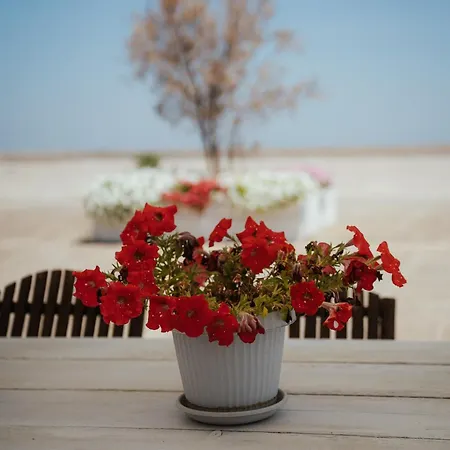 Castrignano مونوبولي