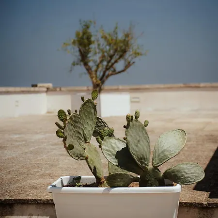 شقة Castrignano مونوبولي