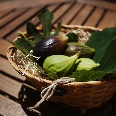 شقة Castrignano مونوبولي