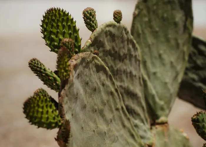 Castrignano * Monopoli